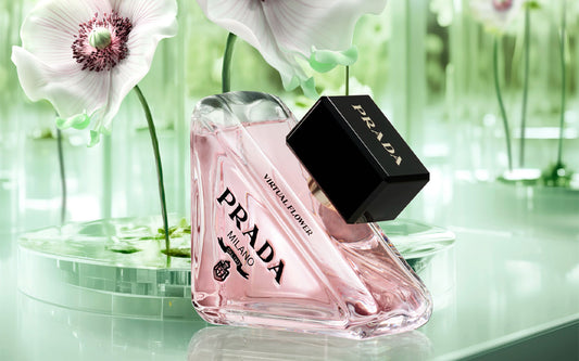 Prada PARADOXE